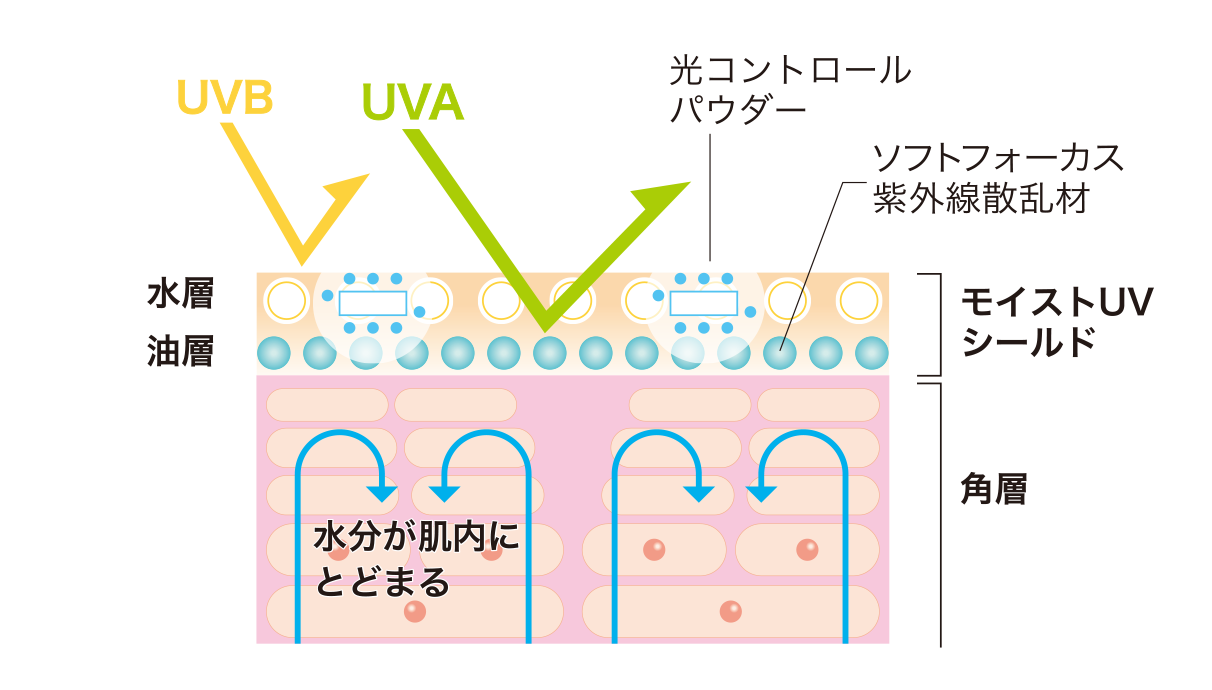 肌のくすみ、色ムラ、シワ、クマ、赤み、毛穴などの悩みをナチュラルにカバー